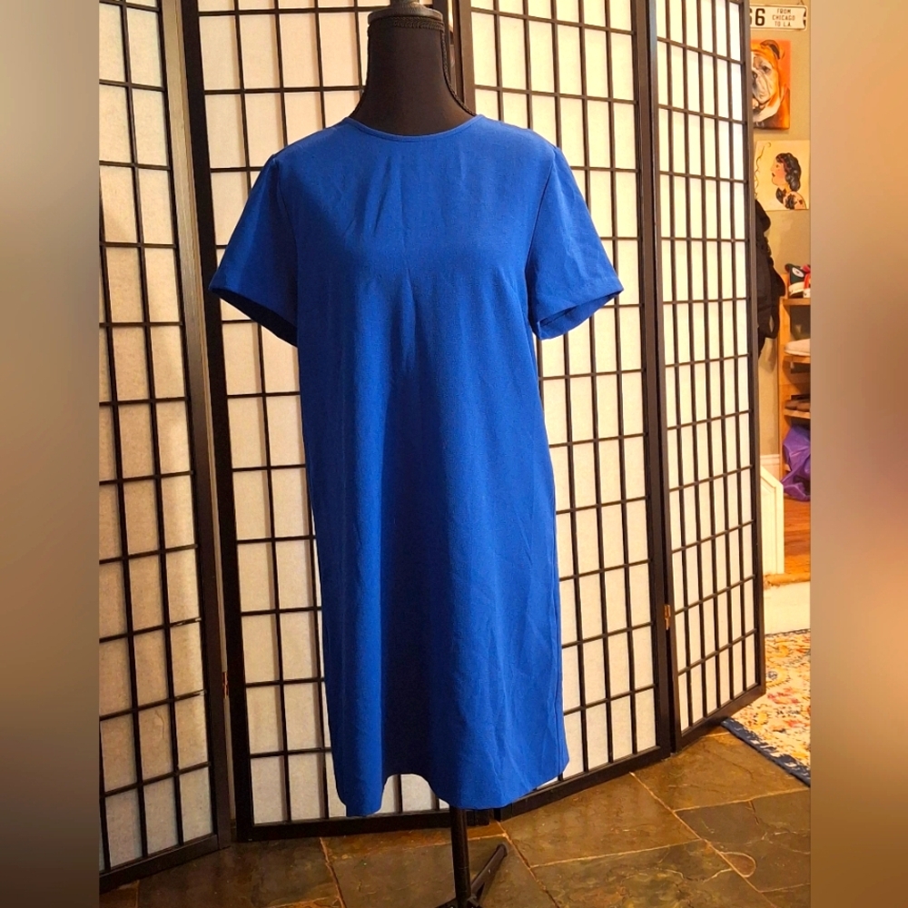 Elegant Blue Dress